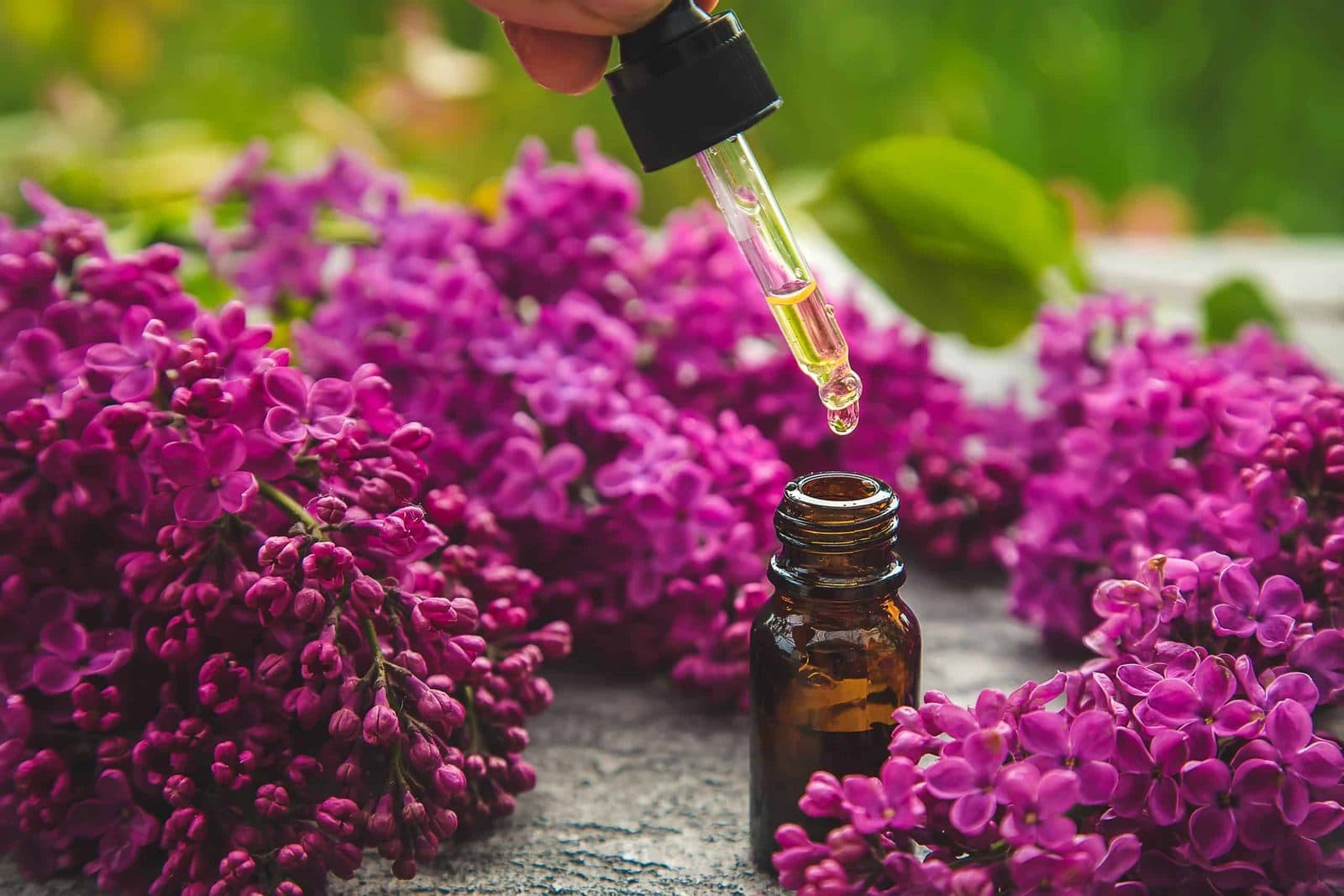Dropper releasing essential oil into an amber bottle among lilac flowers