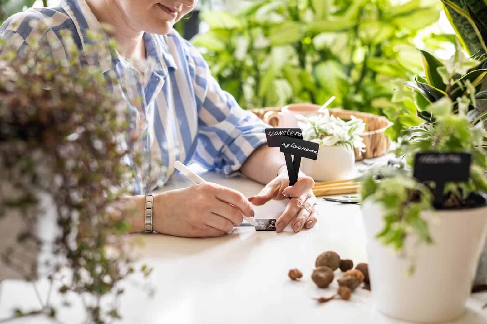 Naturopath preparing a consultation at a table filled with plants and notes