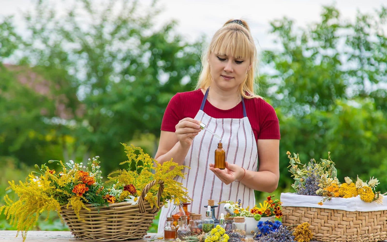 Herbalist sorting fresh medicinal plants outdoors