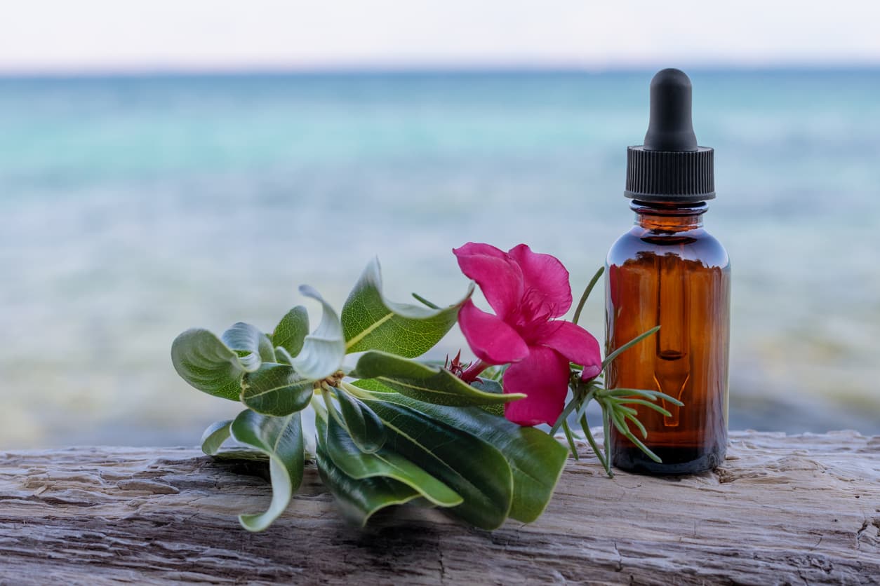 Bach Flower Remedies List: All 38 by Emotional Group